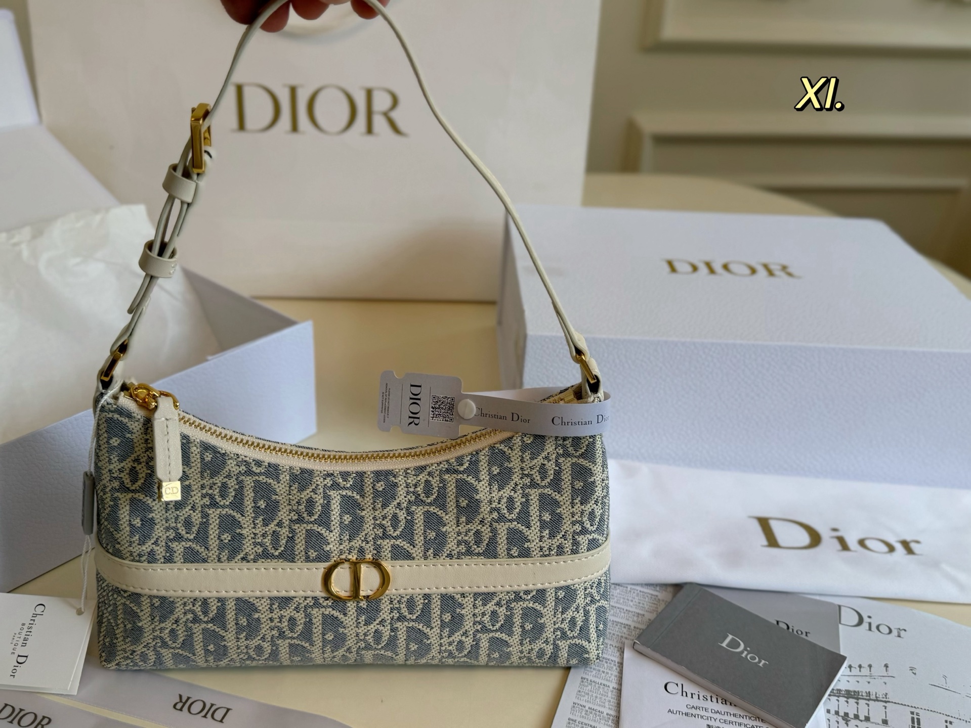 DIOR bag 02